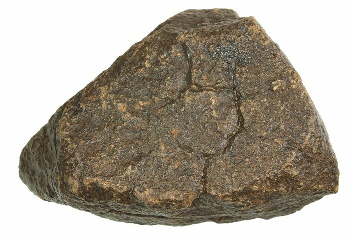 Chondrite Meteorite ( g) - Western Sahara Desert #296245